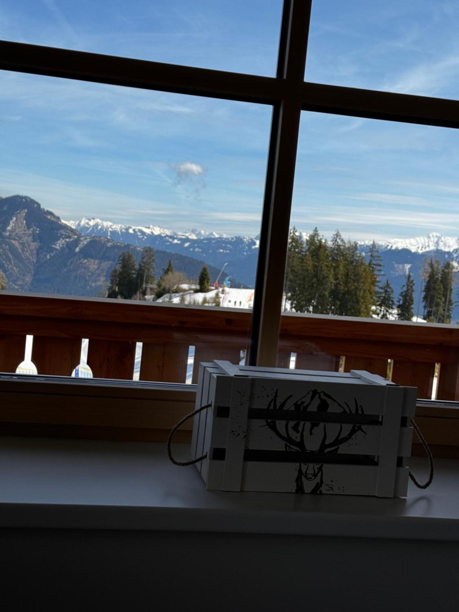 Glockneralm - Exklusiv Erreichbar Mit Skilift Zell am See Eksteriør bilde